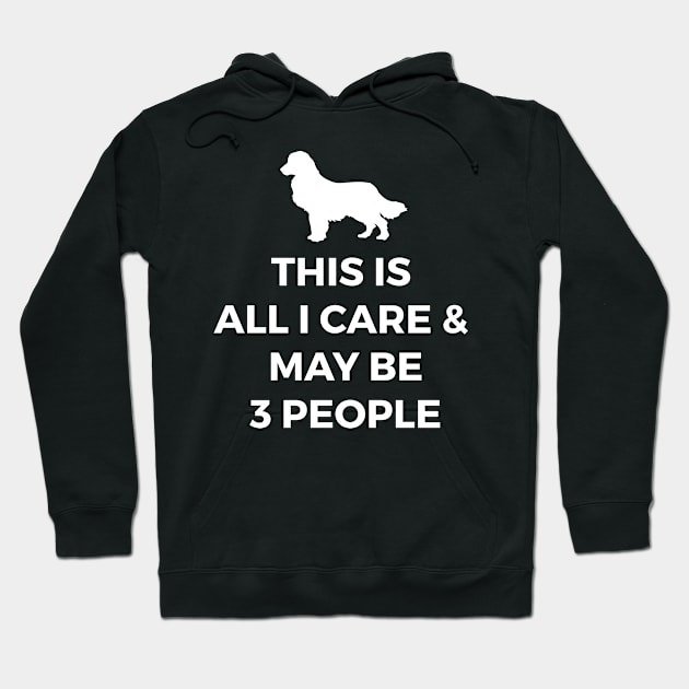 Labrador Retriever This is All I care and Maybe 3 People Hoodie by BadDesignCo